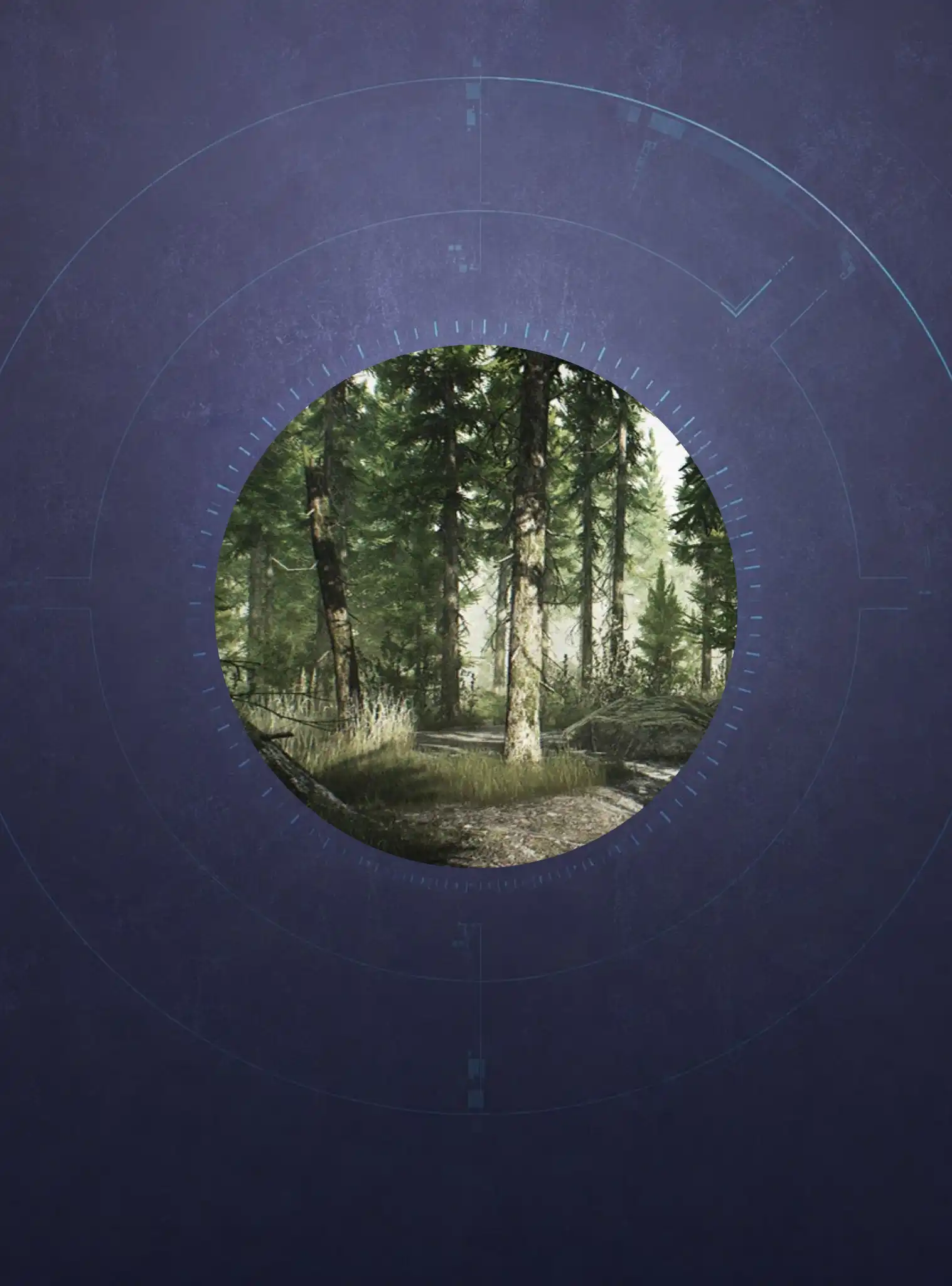 Woods Raid